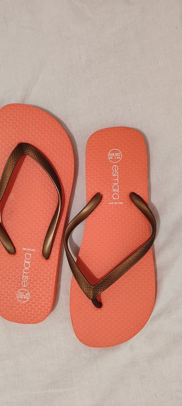 Tangue 36-37 - photo numéro 3