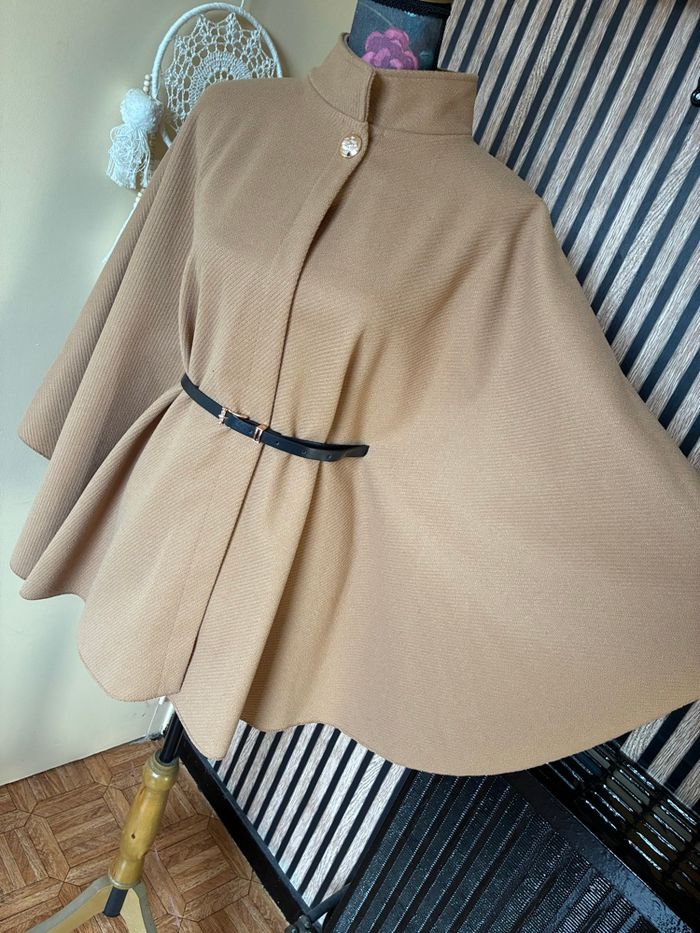 Cape camel - photo numéro 2