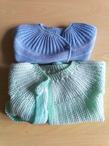 Lot 2 gilets garçon 