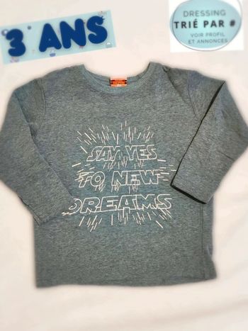 Sweat/tee  shirt 3  ans