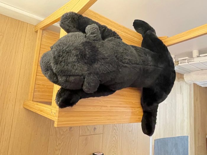 peluche panthère noire - photo numéro 3