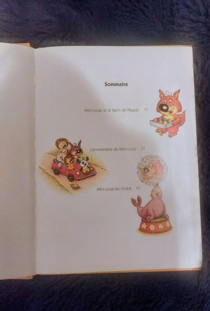 Livre de 3 histoires sur les aventures de Mini Loup - photo numéro 3