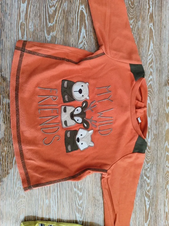 🍁 lot de 5 tee-shirts manches longues taille 18 mois 🍁 - photo numéro 4