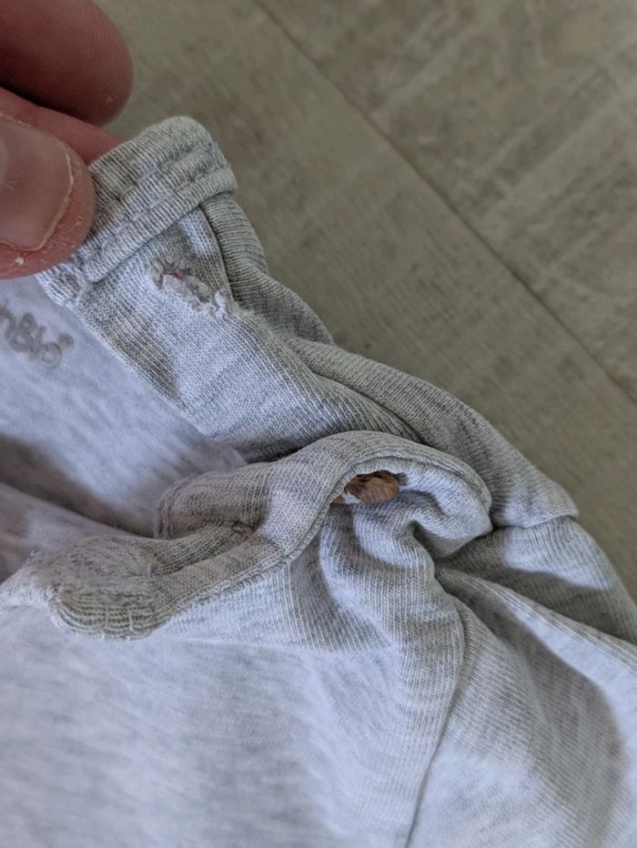 Lot tee shirt petit Béguin 24 mois - photo numéro 4