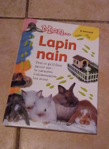 livre mon lapin nain... tout ce qu'il faut savoir pour bien s'occuper de son lapin