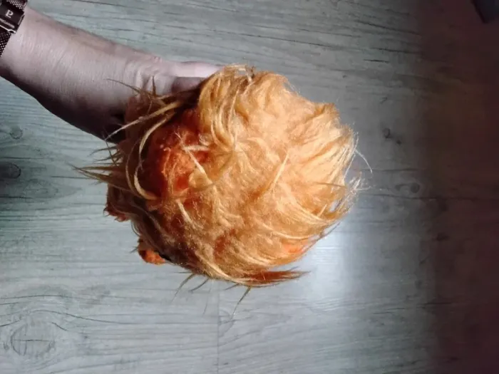 Lion 🦁 - photo numéro 6