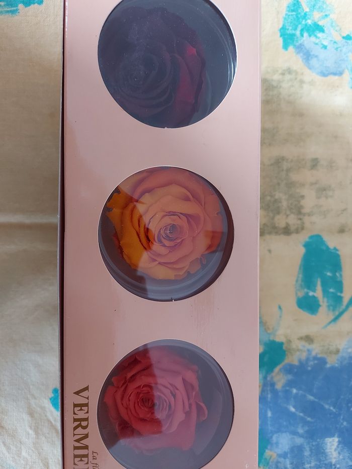 Roses éternelles - photo numéro 2