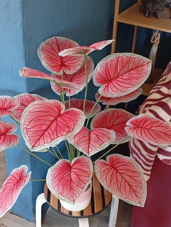 très belle plante artificielle 