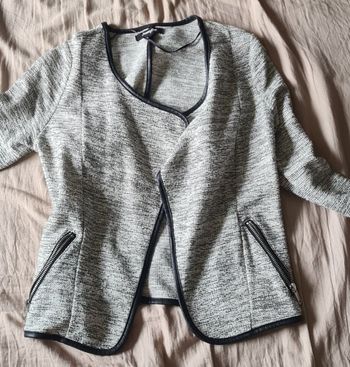 Vestes