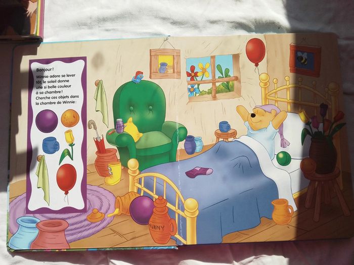 Cherche et trouve avec Winnie. - photo numéro 3