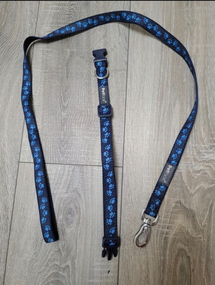 Lot laisse et collier - photo numéro 3