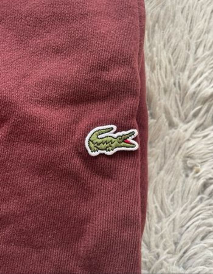 Pantalon jogging slim fit lacoste - taille M - photo numéro 2