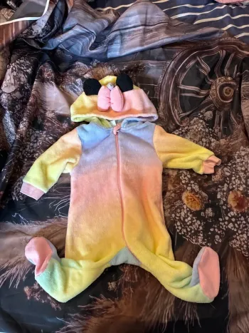 Combi Minnie