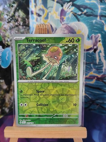 Terracool reverse 25/198 écarlate et violet