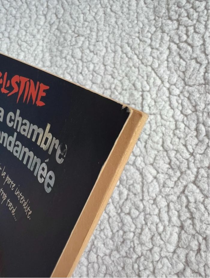 La chambre condamnée de R.L. Stine - photo numéro 6