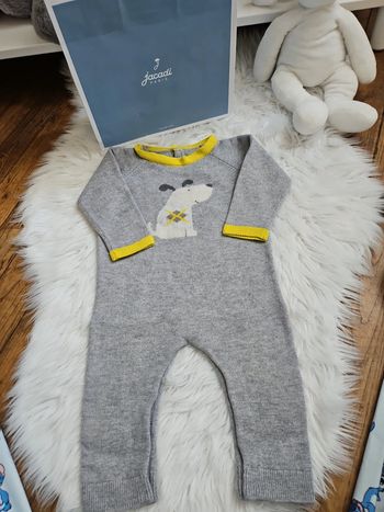 Combinaison laine chien gris