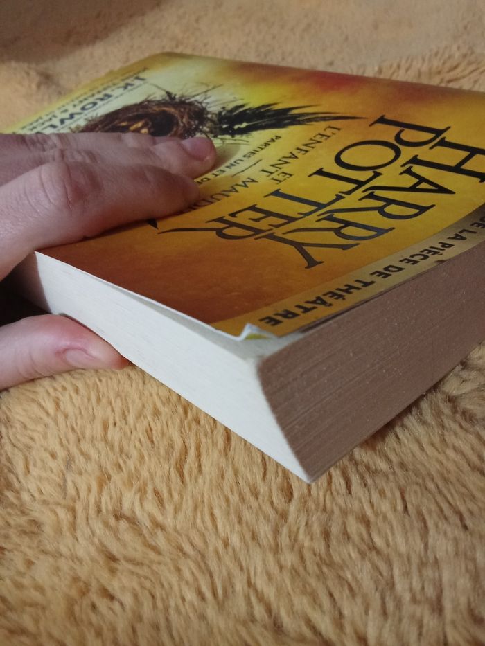 Harry Potter et l'enfant maudit - photo numéro 3