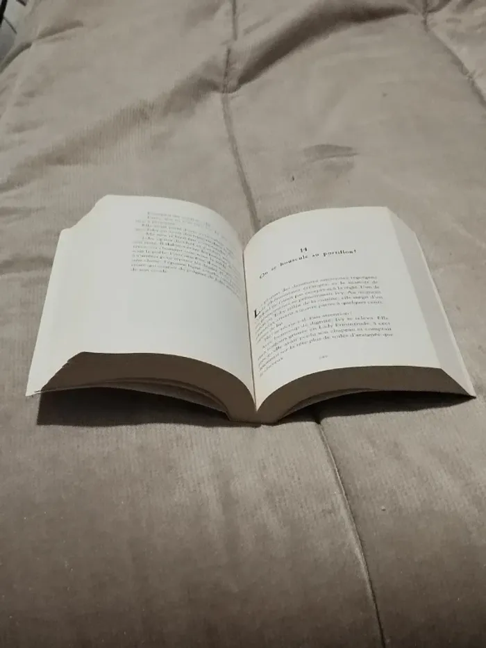 Livre jeunesse Le plus grand détective de tous les temps - photo numéro 5