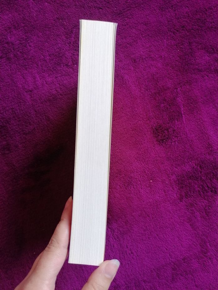 Harry Potter et l'enfant maudit - photo numéro 3