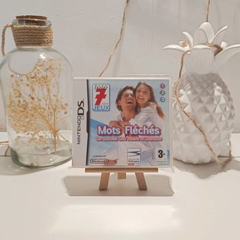 DS jeu mots fléchés