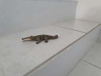 Figurine crocodile schleich