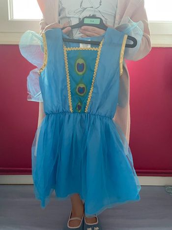 Costume fée
