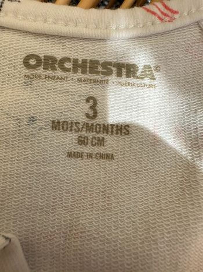 Grenouillère - photo numéro 3