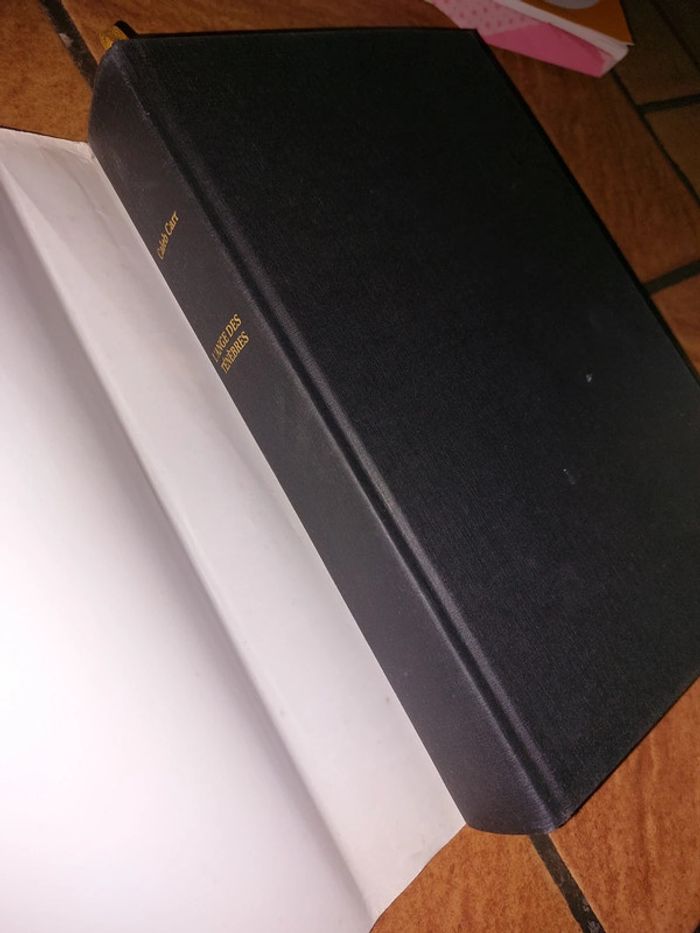 L'ange des ténèbres - Caleb Carr - photo numéro 6