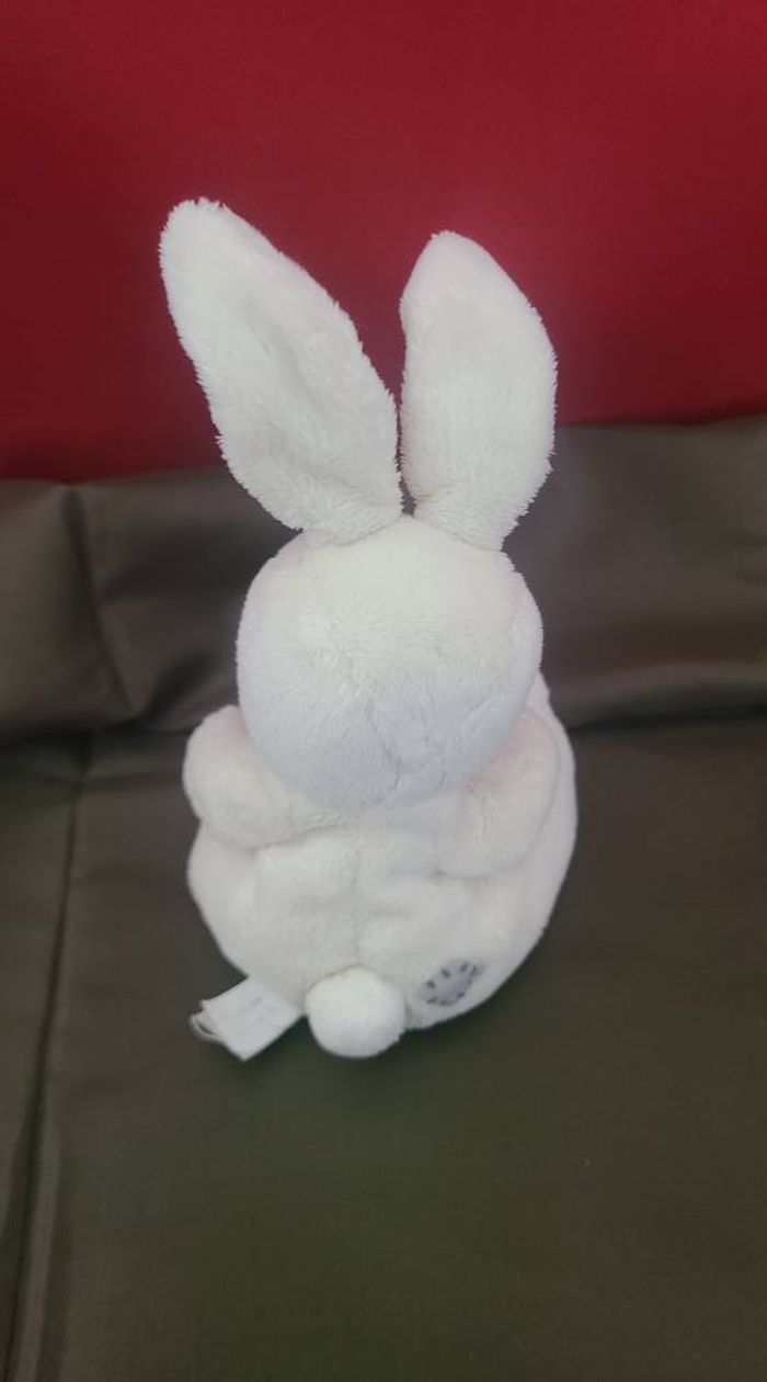 LAPIN LIÈVRE DES NEIGES Lapin Blossom Mes Amis au Nez Bleu - photo numéro 5