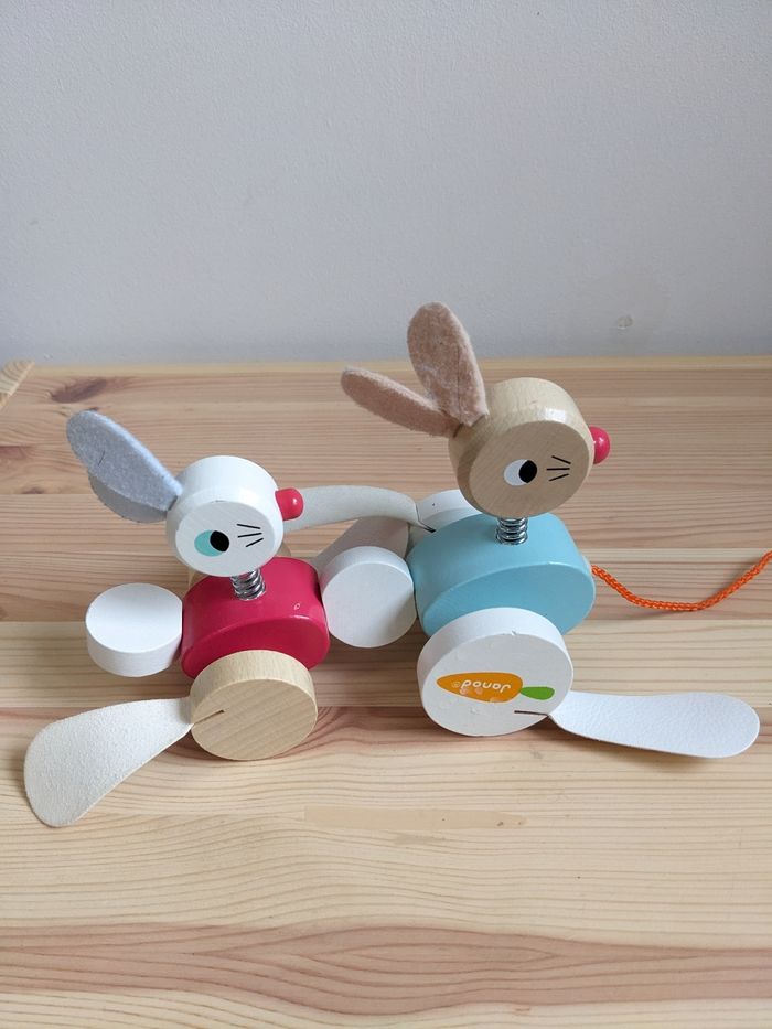 Lapin - photo numéro 2