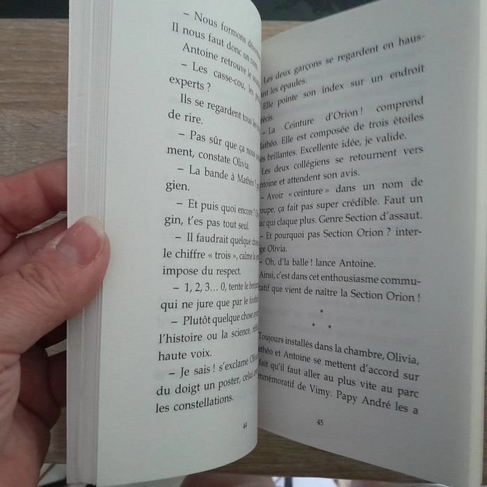 Livre poche Menace à Arras - la section Orion enquête - photo numéro 2