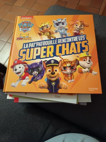 La pat patrouille rencontre les super chats