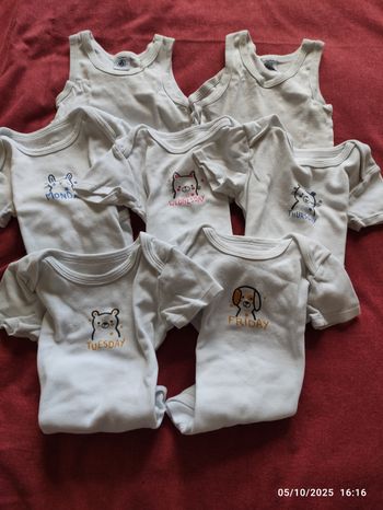 Lot 7 bodies manches courtes