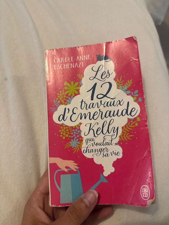 Les 12 travaux d'Emeraude Kelly qui voulait changer sa vie Livre de Carole Anne Eschenazi