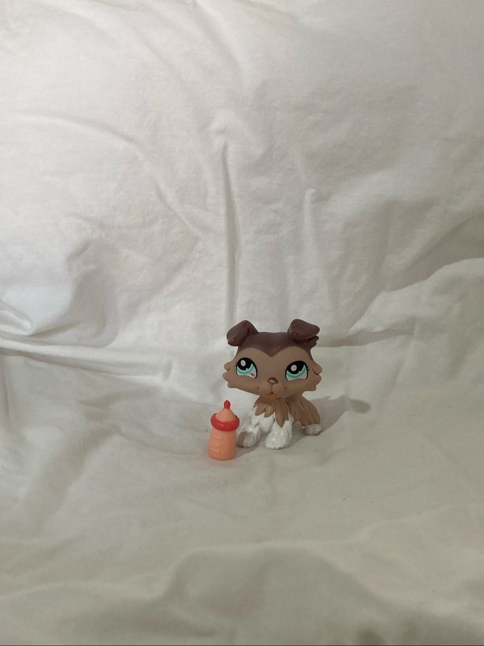 lps colley