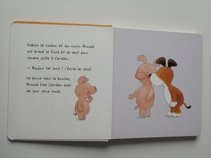 camaieu le chien malicieux, livre enfant - photo numéro 2