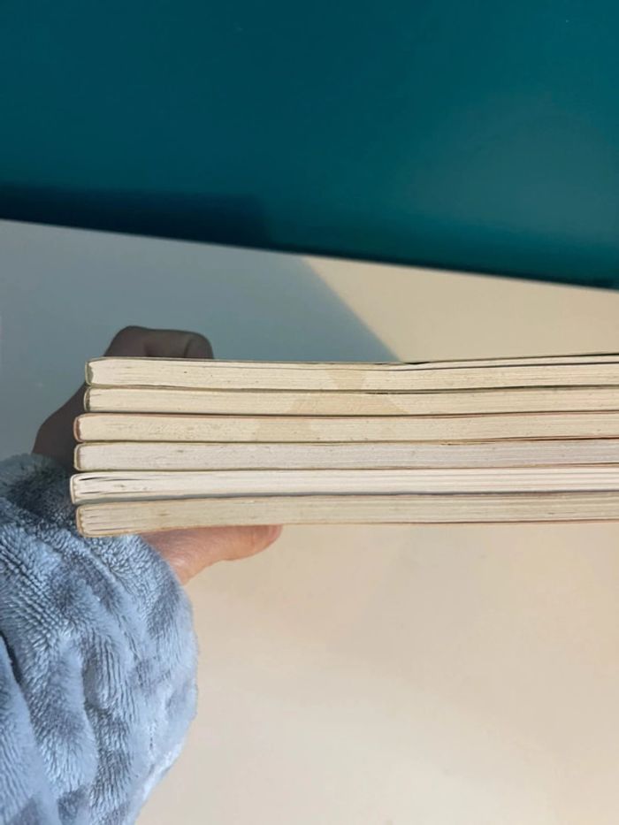 6 livres bande dessinée Tom Tom et nana - photo numéro 4