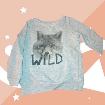 Pull 2-3 ans