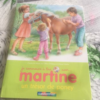 Martine un trésor de poney