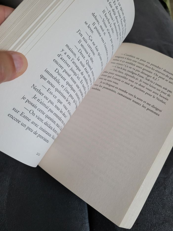 roman minecraft le choc (6e) - photo numéro 4