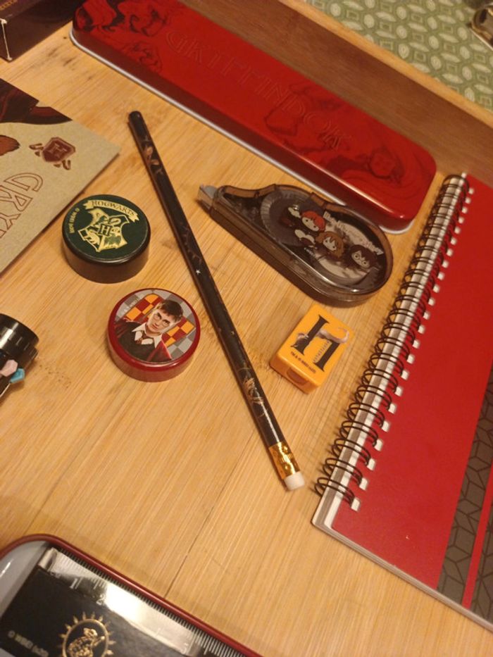 Lot de carnet Harry Potter - photo numéro 11