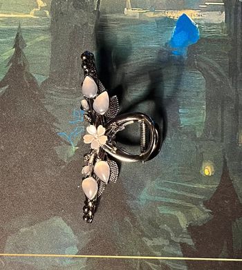 Pince à cheveux en métal noir