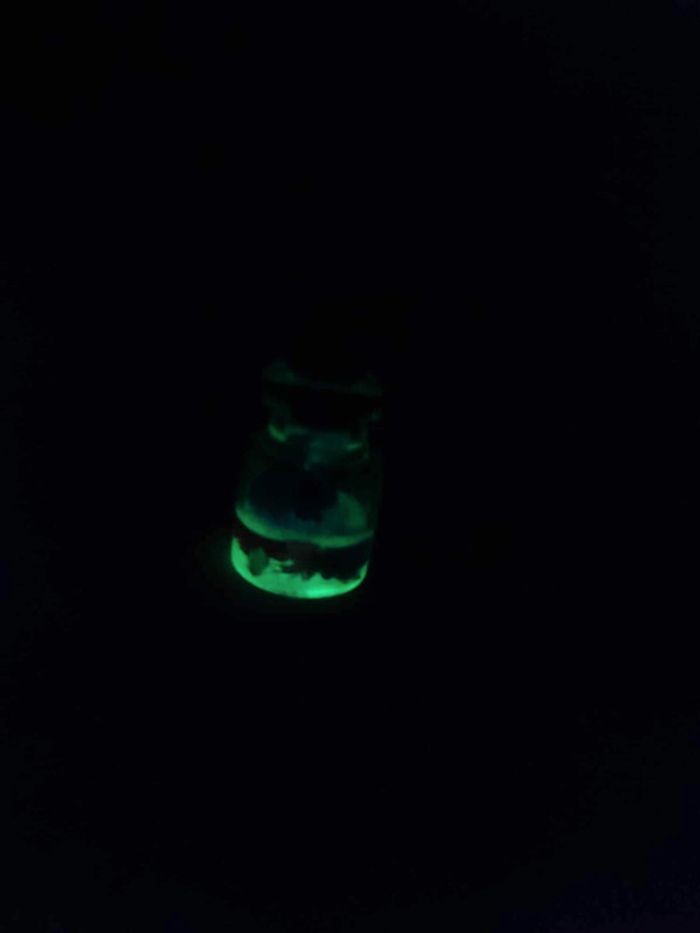 Collier et pendentif bouteille lumineuse - photo numéro 2