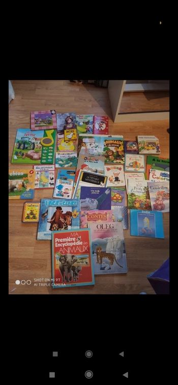 Lot livres en tout genre