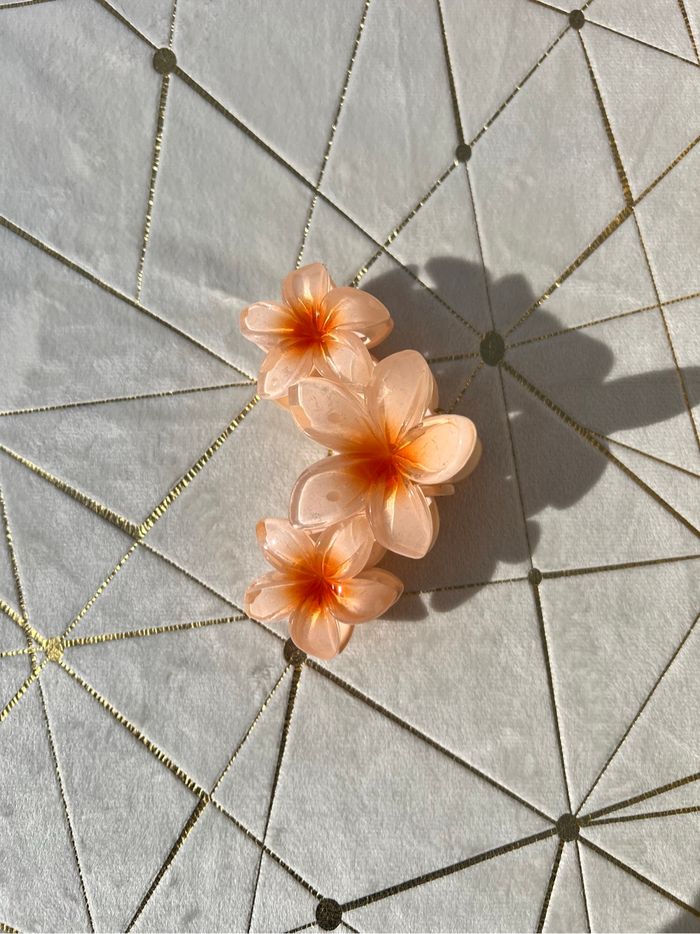 Pince à cheveux fleurs
