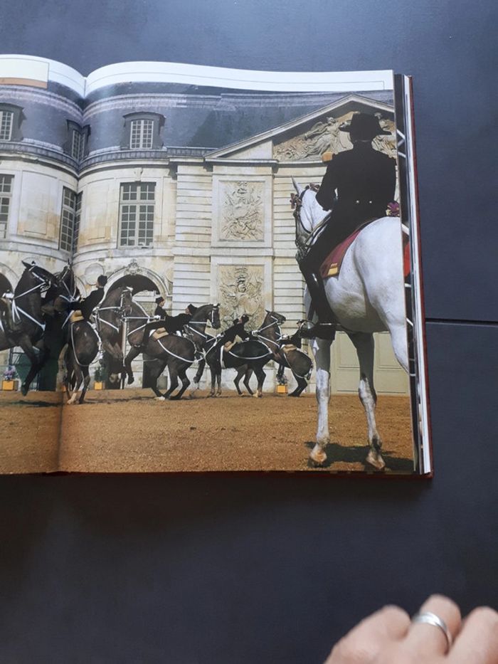 Très beau livre le grand livre des chevaux - photo numéro 11