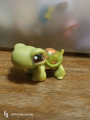 LPS tortue 🐢