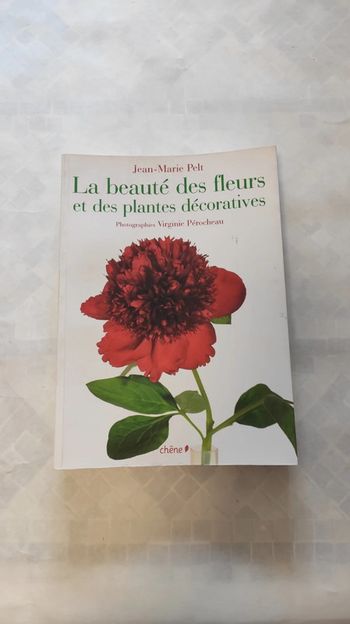 La beauté des fleurs et des plantes décoratives