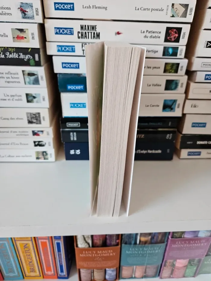 Livre la lettre de Noël - photo numéro 3