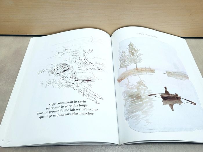 🌺 Livre (école des loisirs) : Le loup rouge - photo numéro 5